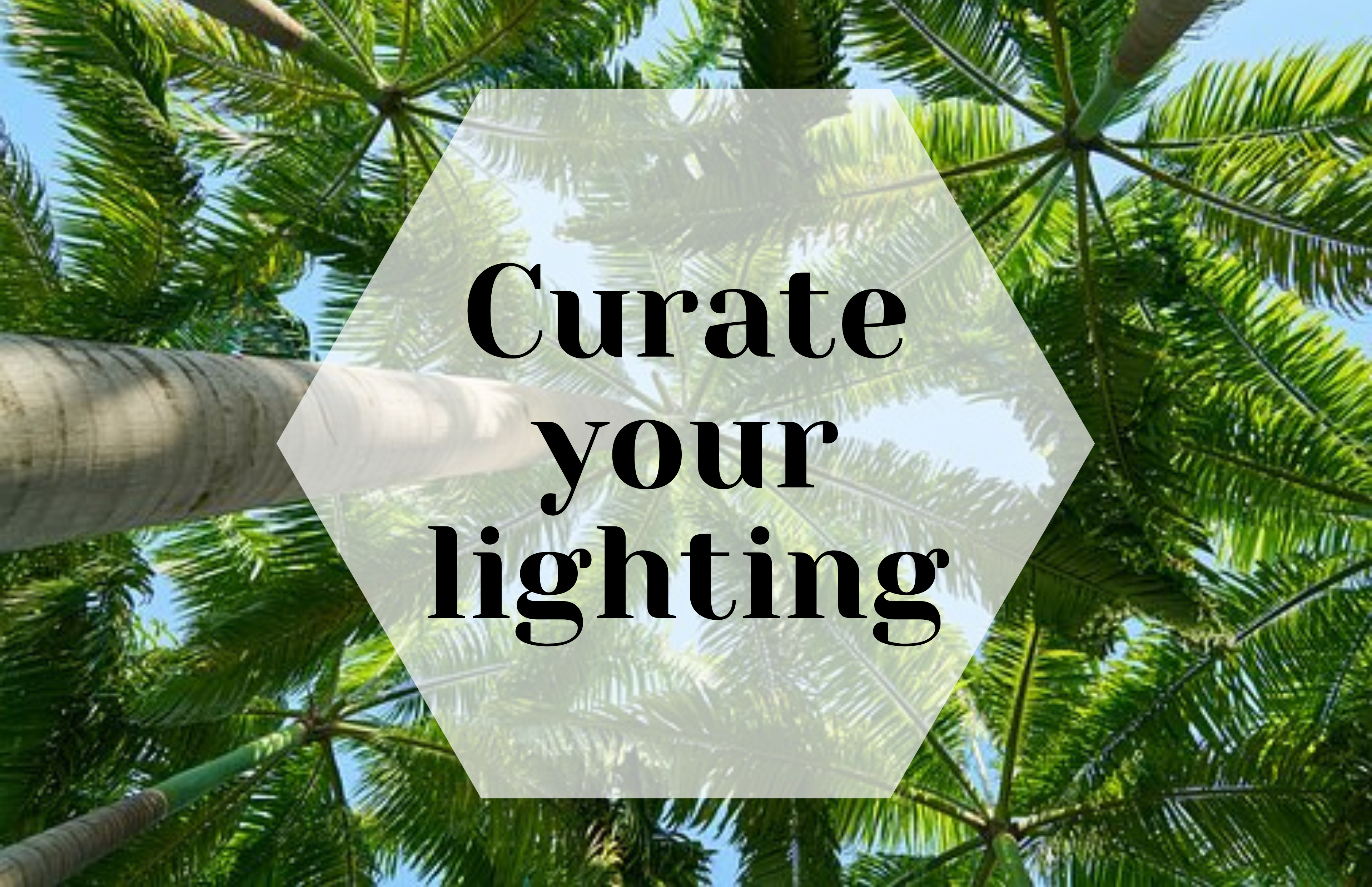 Curate your lighting: 3 levels of lighting design you can  implement now