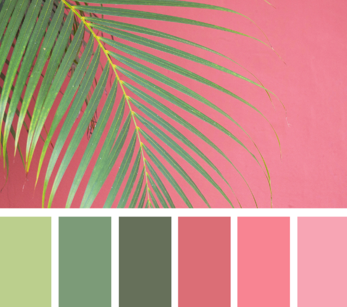 pink_and_green