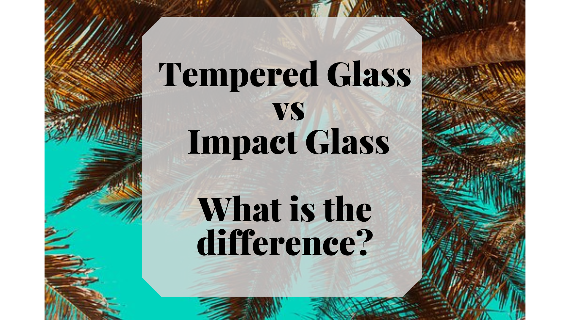 Tempered Glass vs Impact Glass